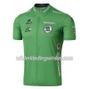 Wielershirt 2016 Ronde van Frankrijk N001